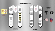 Load image into Gallery viewer, BSN Custom StolesBSN Custom Graduation Stole – Personalized Satin Nursing School Sash
